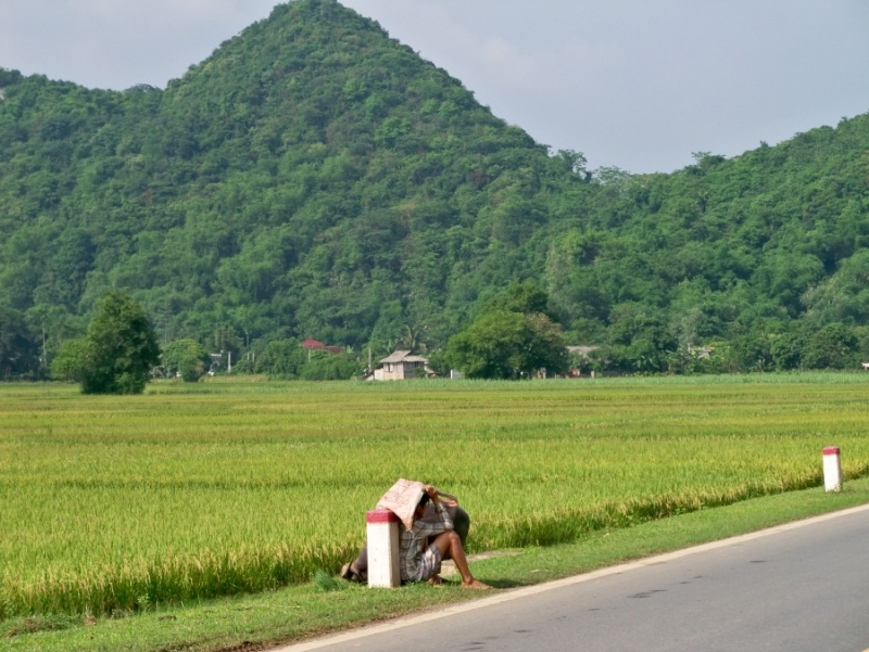 Vietnam 2012: "Ten toi la Momi" Resiz462