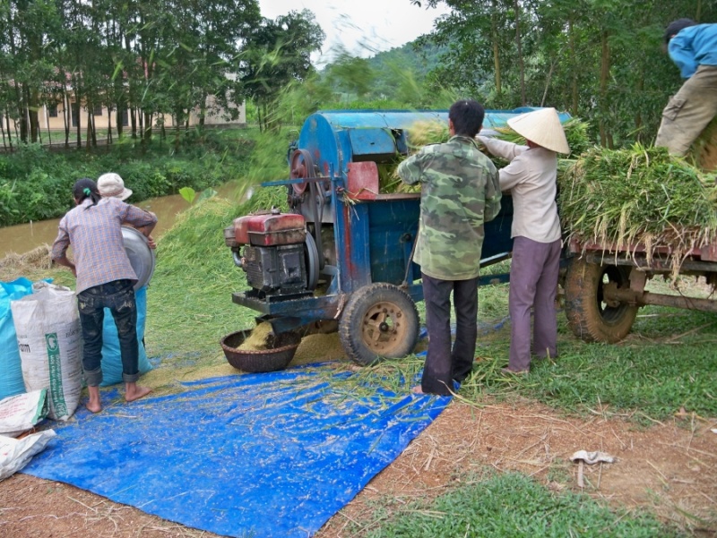 Vietnam 2012: "Ten toi la Momi" Resiz467