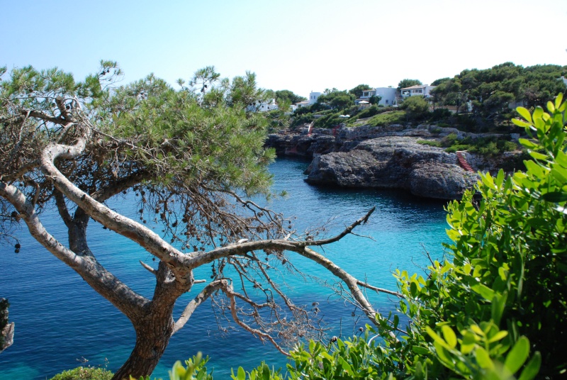 cala egos Dsc_0112