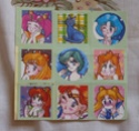 Ma collection Sailor Moon - Pin's/Cartes/Goodies 21/04/2012 - Page 5 P1140423