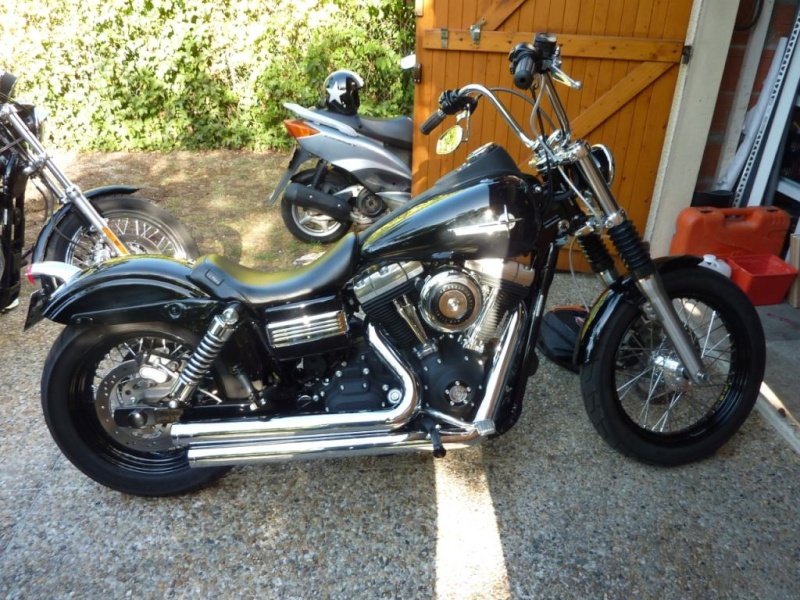 POTS SUR Fat BOB  =>  DOSSIER <= - Page 3 P1030510