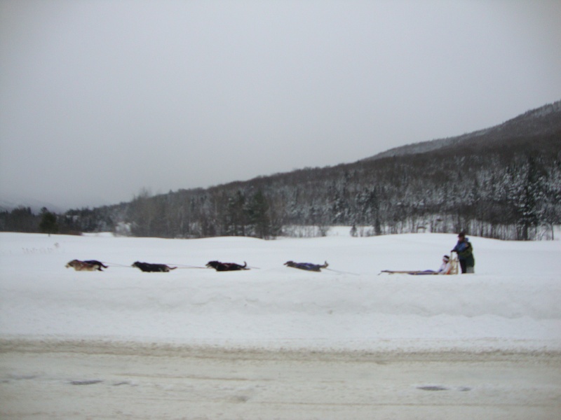 SKIJORING in NEW HAMPSHIRE con NANUQ New_ha39