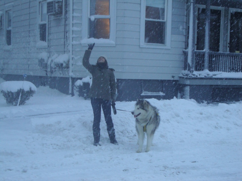 SKIJORING in NEW HAMPSHIRE con NANUQ New_ha57