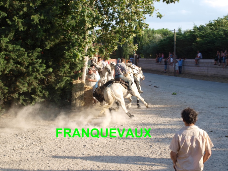franquevaux Franqu13