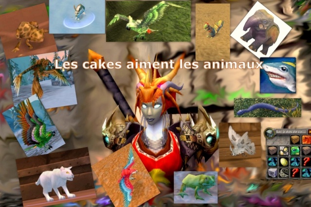 Sondage concours "Les Cakes aiment les animaux" Concou10