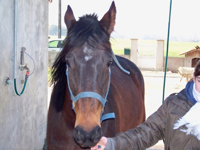 Reveur adopté  par Baboushka ! Reveur13