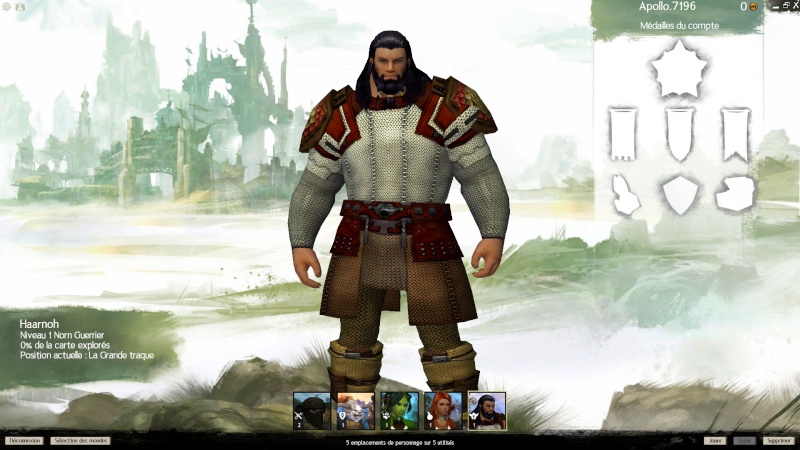 Guild wars 2 Gw00510