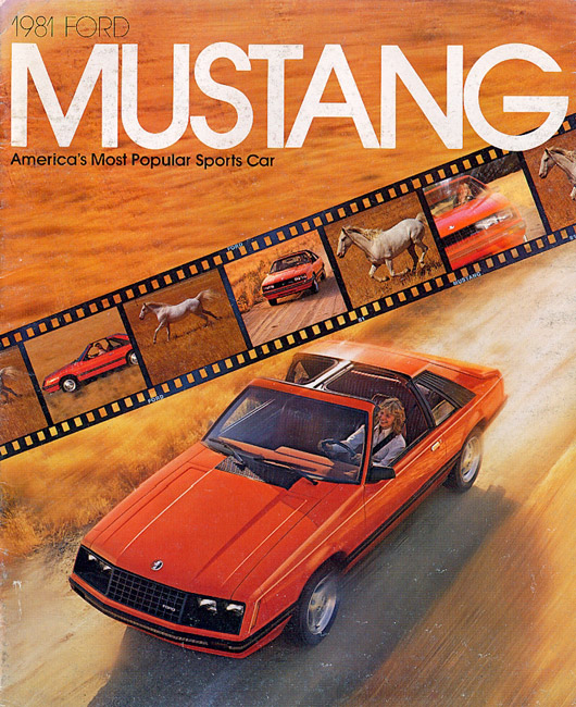 Comment faire la différence entre les années de Mustang 1981_b10
