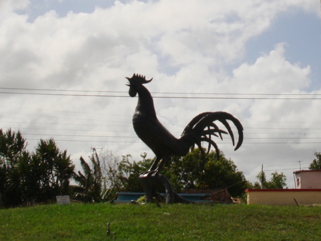 El Gallo de Moron El_gal10