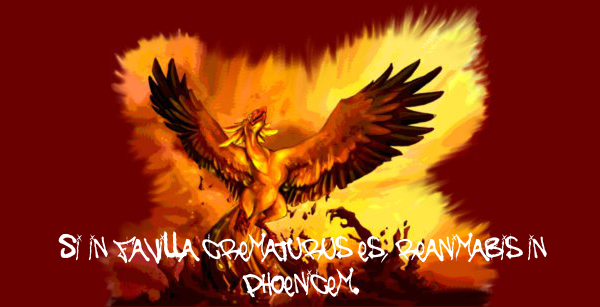 S&F-Gildenbund Phoenix - Simurgh - Feuervogel