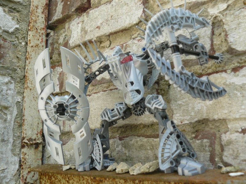 [Concours] Grand Concours LEGO® & Bionicle Universe 2010 - Page 6 P1030418