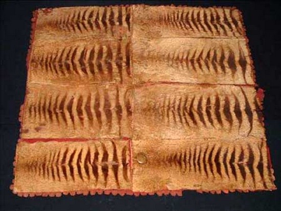 Cryptozoology tassie tiger thylacine tapis peau loup marsupial tasmanian tiger forum espèce disparue esposition tasmanian museum Cryptozoologie