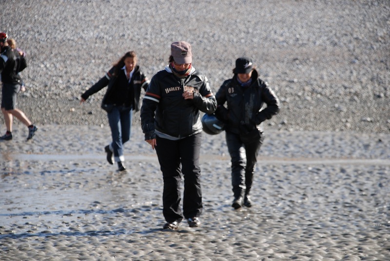 une journée en baie de Somme 29 septembre 2012 Dsc_0250