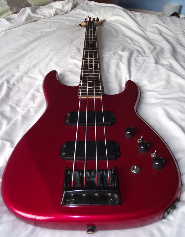 Westone Spectrum Series II bass SPB311 Body_t10