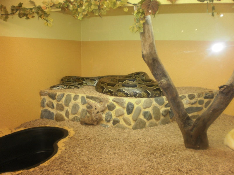 reptilarium du Larzac P2010010