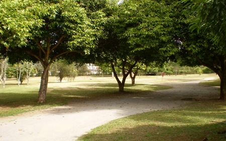 Parque da cidade Parque10