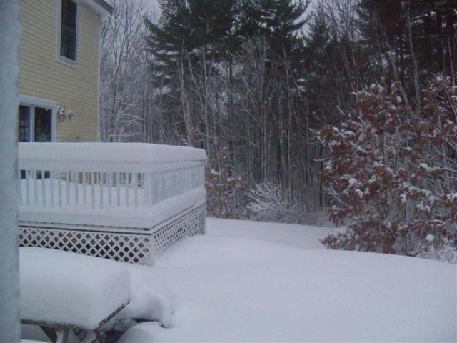Holy snow Batman! 01-12b11