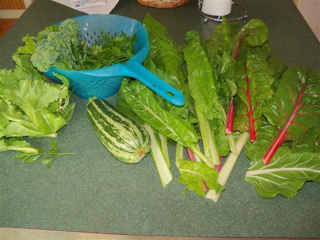 I harvested more veggies today. 07-14-10