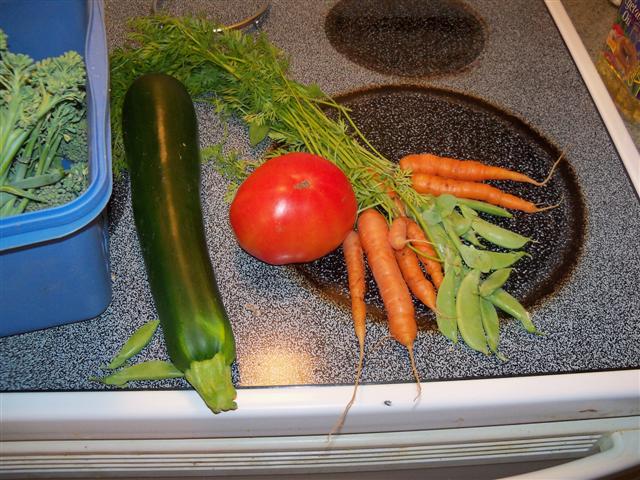 My first carrots picked today, July 19th. 07-19-11