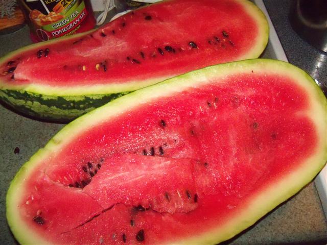 Here she is, my first watermelon harvested. 09-01-10