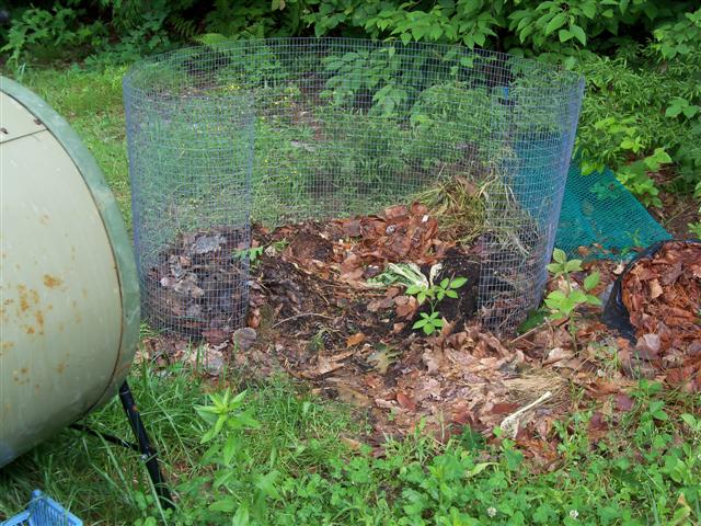 Hmmm, Compost compost, how do you fair in the compost worldl? - Page 2 Compos13