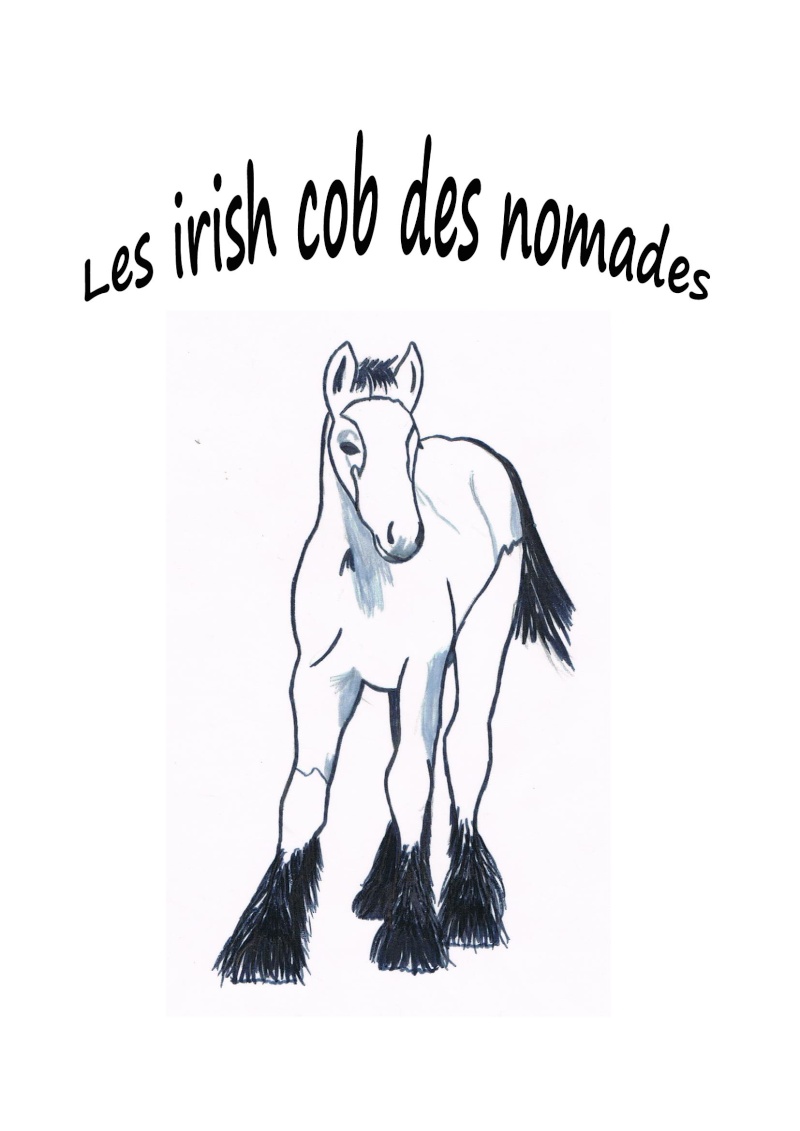 irish cob des nomades Logo111
