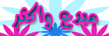 عضو مبدع عضو مبدع