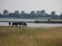 Allemagne Img_3315