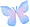 فراشة فراشة