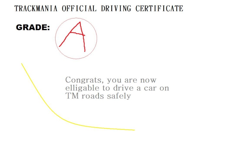 freeroam driving certificate Certif11