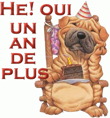 ANNIVERSAIRE DE COUGAR 82727812