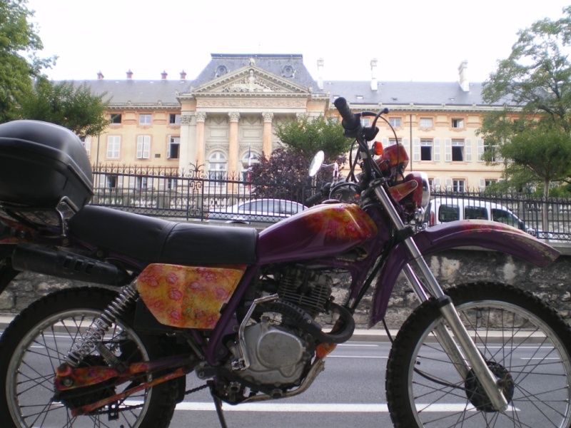 vote pour le concours(juillet 2010)"votre Timono au chateau" Timono10