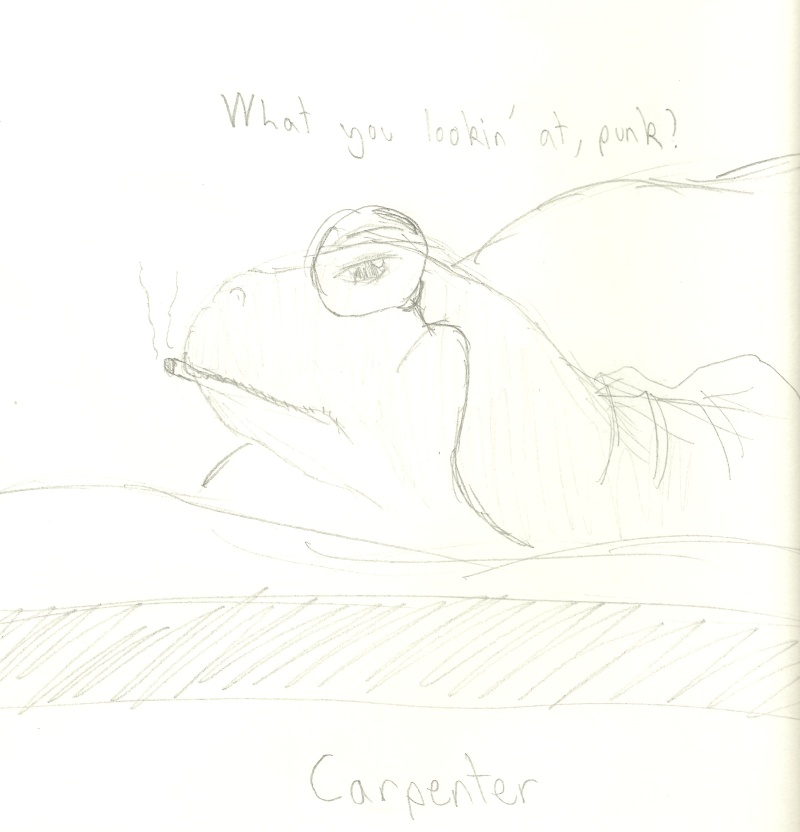 BeDaOrLiSeAr's Attempts: Drawings And Pictures - Page 5 Carpen10