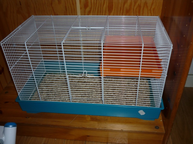 A vendre: Cages P1020110
