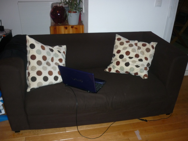 A vendre 1 fauteuil + 1 pouf P1020310