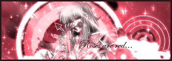 Dark Duelist's Showcase Roses_10