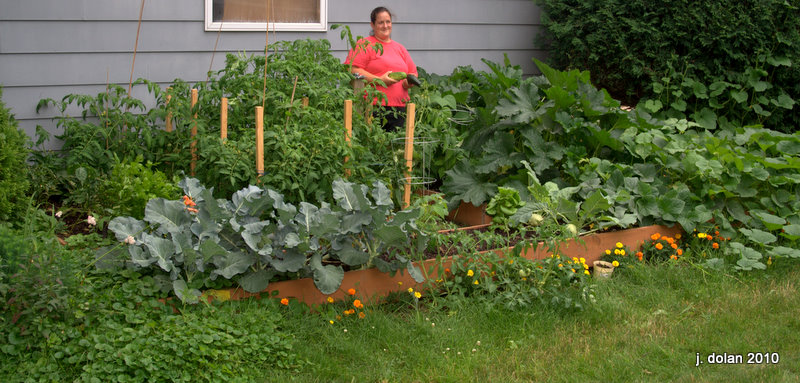 Green Peppers and Celery doing poorly this year Img_3710