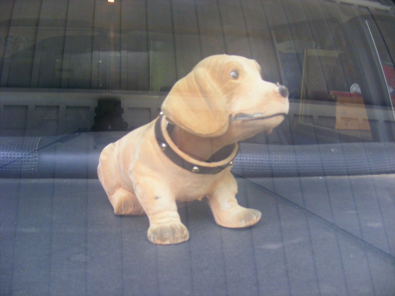 Chien Qui Bouge La Tete Gif Chien Nouvelles