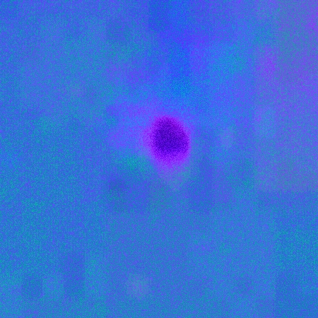 “Invisible” Disc In Phoenix Phoeni13