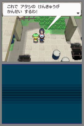 Neue Screenshots zu Pokemon Black / White Pokemo24