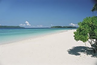 Pantai Grajagan Karimu10