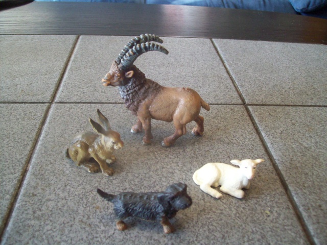 Arrakai's Schleich additions  Bild_029