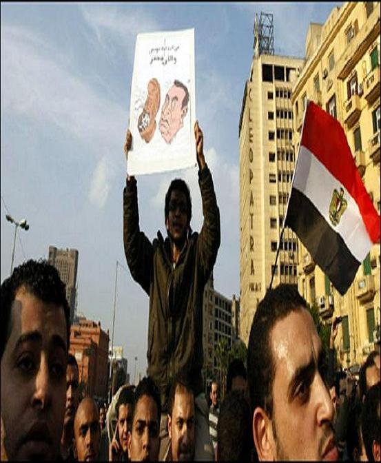  عاجل:مظاهرات الإسماعيلية تتواصل لليوم الثالث 914