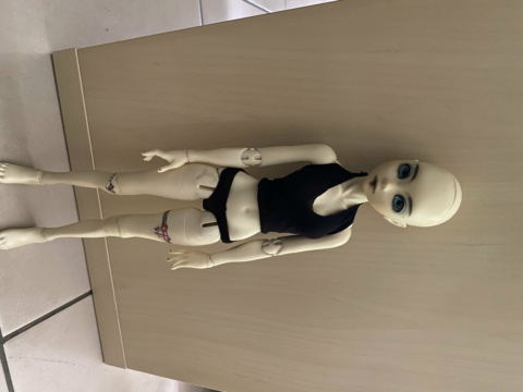Vends : Elfdoll, Dollchateau, Iplehouse, souldoll... Img_2724
