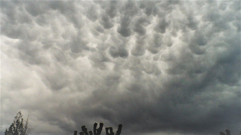 De superbes mammatus  Dsci1210