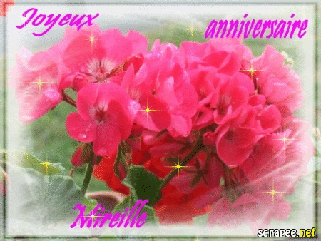 Q Tbn And9gcru8amwr6 Ndlagmou6oi0t5kv5lqhb1nepta Usqp Cau Q Tbn And9gcru8amwr6 Ndlagmou6oi0t5kv5lqhb1nepta Usqp Cau