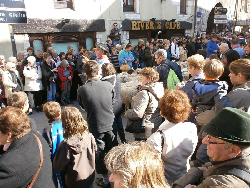 descente des alpages à Annecy Pa131127