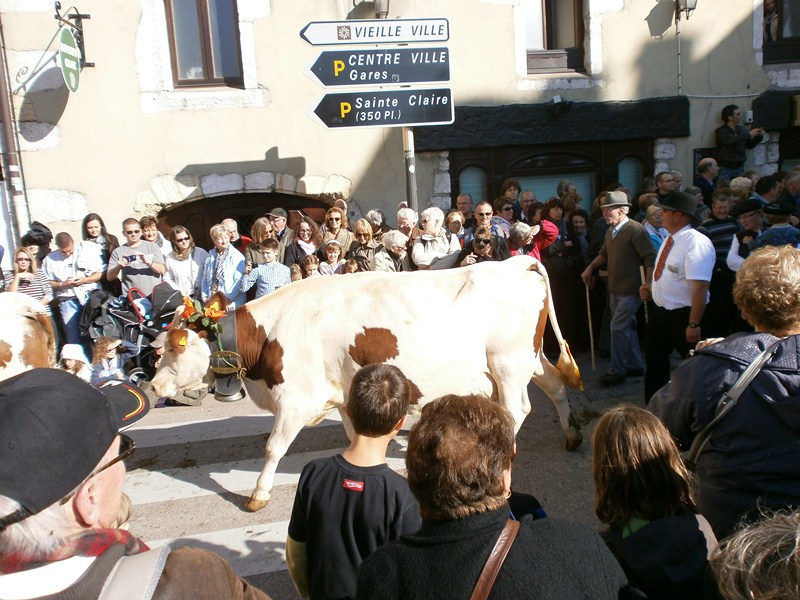 descente des alpages à Annecy Pa131128