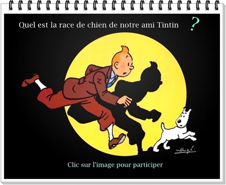Les jeux du portail, la participation de nos invité(es) est souhaitée. - Page 2 Tintin10