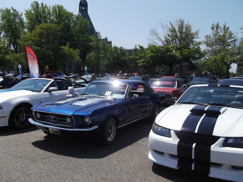Bénédiction des Mustang le 28 mai 2023 196710